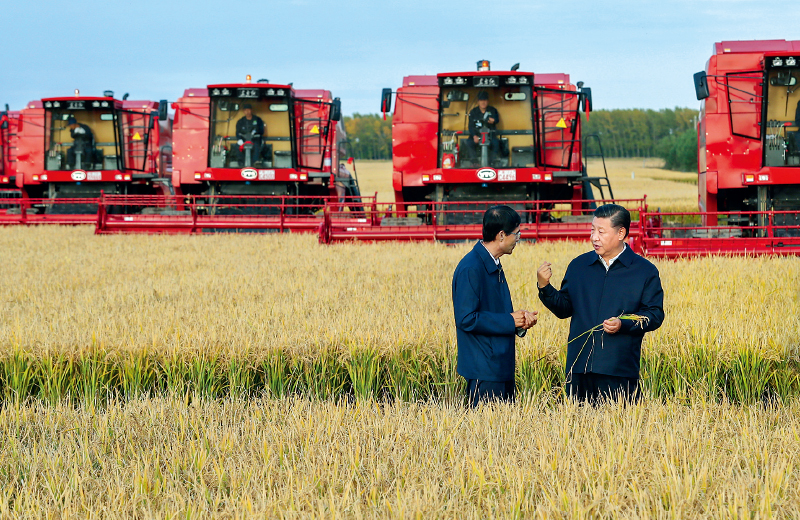 f44d305ea8c01d96895c4b